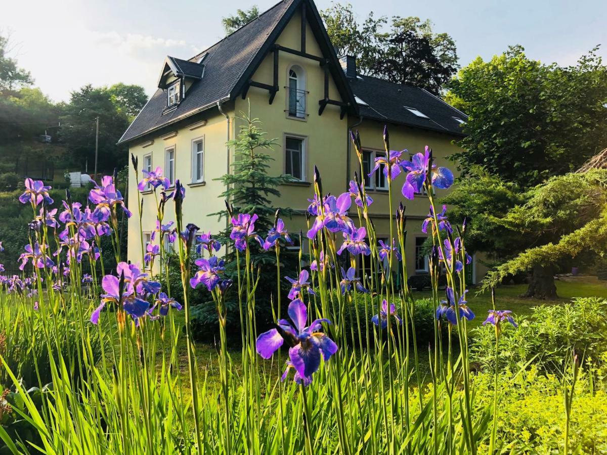 Ferienwohnungen Siebenlehn Am Romanus Freibad ภายนอก รูปภาพ